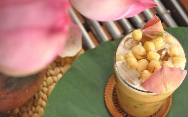 MÀU PHƯƠNG ĐÔNG - Trà Sữa Hoa Cúc Mật Ong & Trà Quýt Cúc Mật Ong - Nguyễn Gia Trí