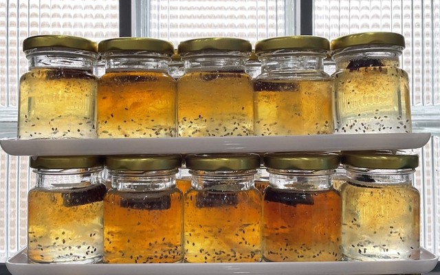 Yến Sào Hải Mơ - Yến Chất Lượng Cao - Chợ Điều