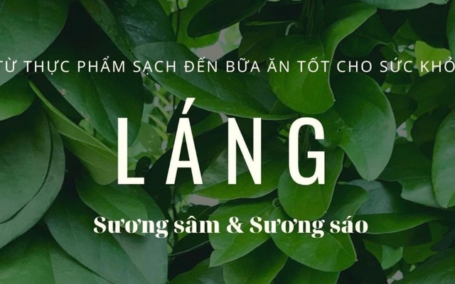 Láng Sương Sâm Sương Sáo - 267 Xóm Chiếu