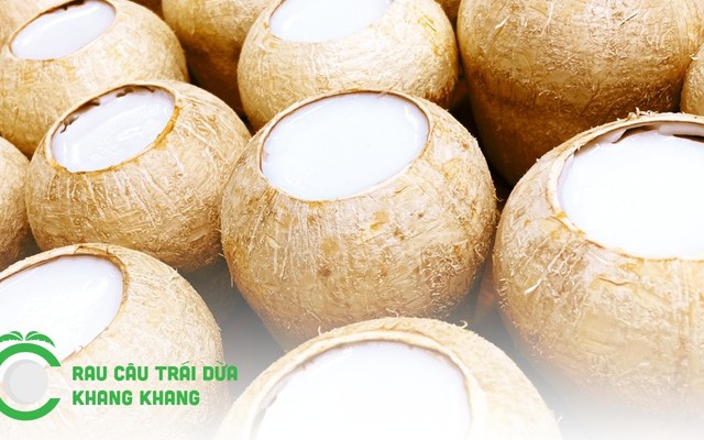 Rau Câu Trái Dừa Khang Khang