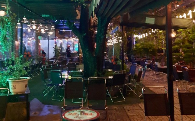 Trúc Tx 126 - Coffee - N4