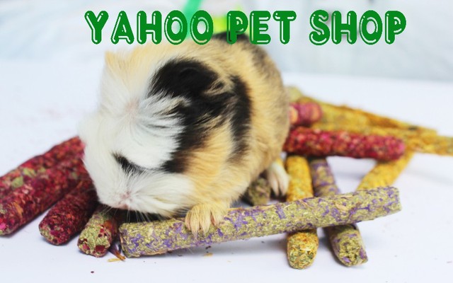Yahoo Pet Shop - Thú Cưng - Lạc Long Quân