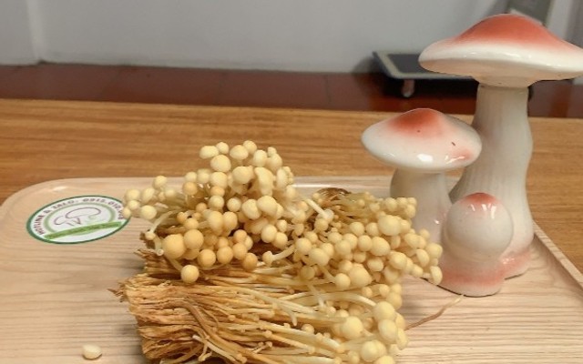 Nấm Sạch Việt Nam - Các Loại Nấm Việt Nam - 603 Tam Trinh