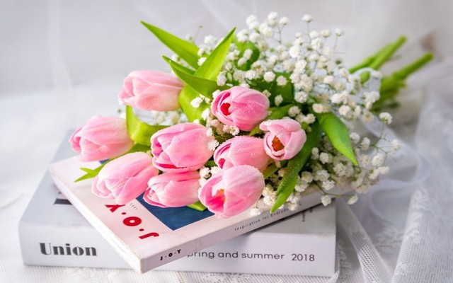 Potico.vn - Hoa Tươi & Quà Tặng - Đồng Xoài