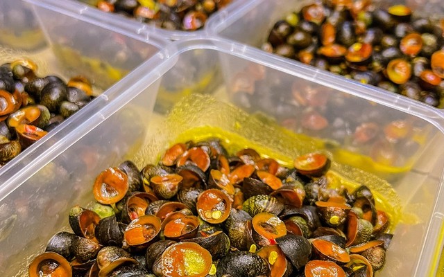 Ốc Dừa Bến Thành - Nơ Trang Long