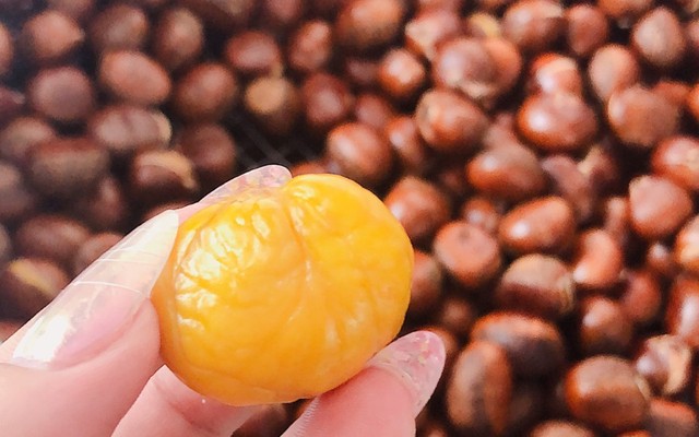 Bé Hạt Dẻ - Hạt Dẻ Rang & Bánh Hạt Dẻ - Huỳnh Tấn Phát