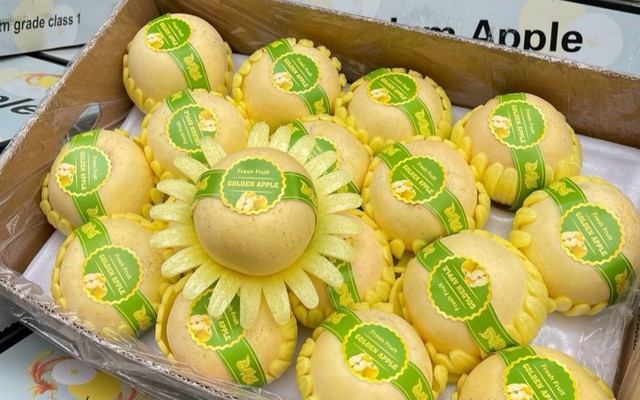 Mộc Giang - Cà Phê Muối, Trà Hoa Quả & Nước Ép