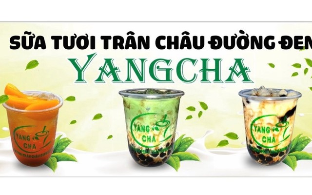 YANG CHA Tân Hòa - Quốc Lộ 1A