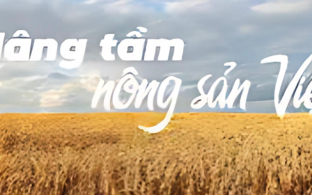 ZenA Mochi - An Bình City - Khu Đô Thị Thành Phố Giao Lưu