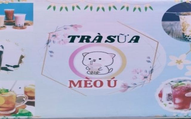 Mèo Ú - Trà Sữa - Đường Số 15