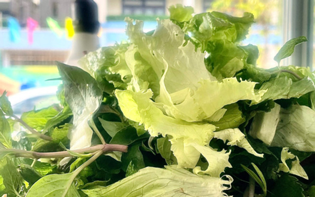 TRỌNG NHI - Bún Thịt Nướng & Bánh Cuốn Bình Định - Trần Cao Vân