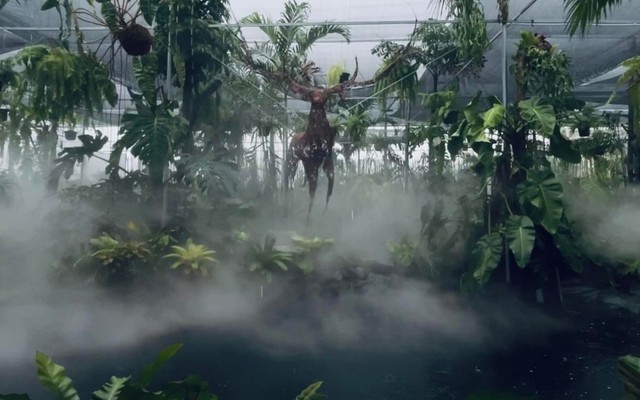 Tiệm Cây và Nước - Cafe, Nước Ép & Đá Xay - 61 Nguyễn Đình Thi