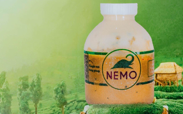 Trà Hồng Đài Nguyên Hoa - Nemo