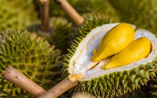 Sầu Riêng Sạch - Nơ Trang Long