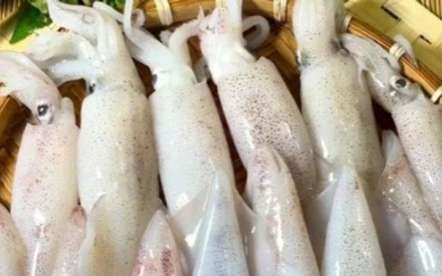 TOBY'S HOUSE - Hải Sản - Nguyễn Văn Lượng