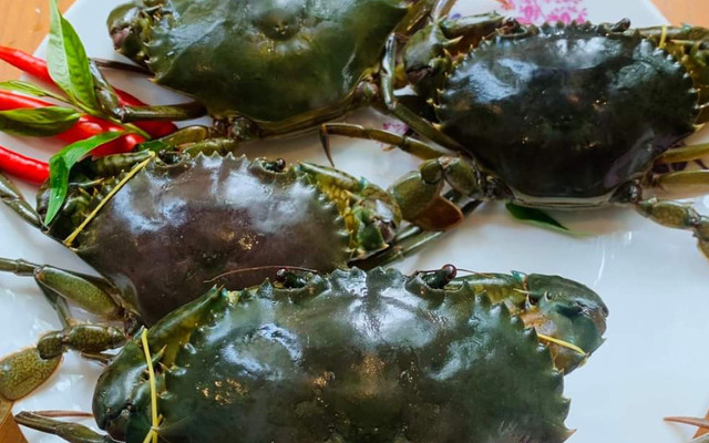 CUA THỊT, CUA CỐM & CUA LỘT TƯƠI SỐNG  - THANH TRÌ