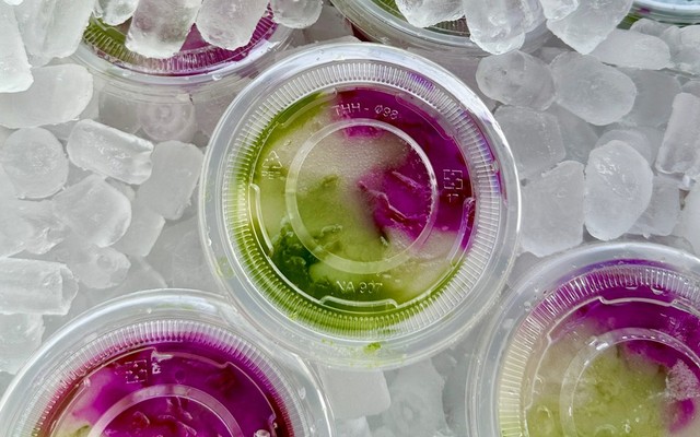 Trọng Chánh - Rau Câu Sơn Thuỷ & Trái Cây