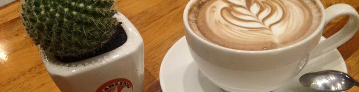 The Starling Coffee