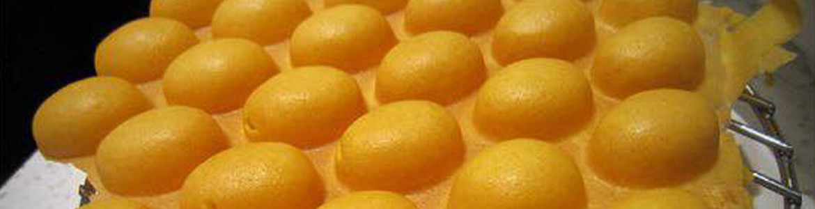 Little Hongkong - Bánh Trứng Gà Non