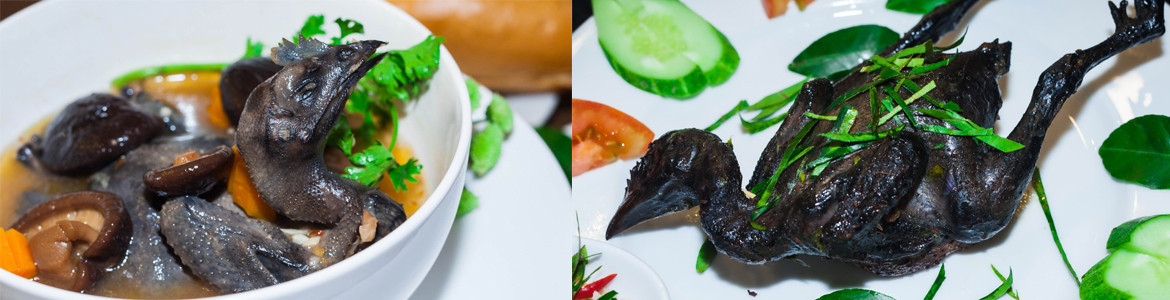 Black Chicken - Gà Ác Tiềm