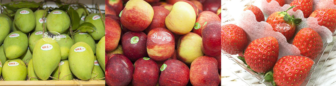 Trái Cây Sài Gòn 360