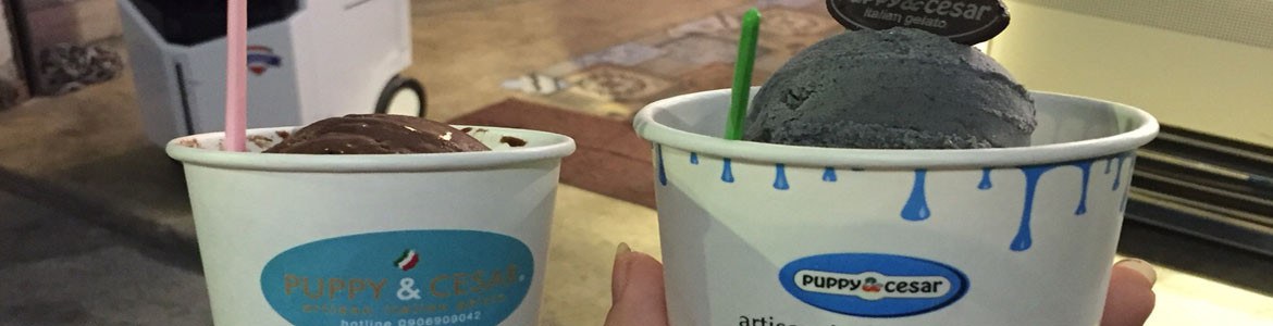 Puppy & Cesar - Gelato & Cookies
