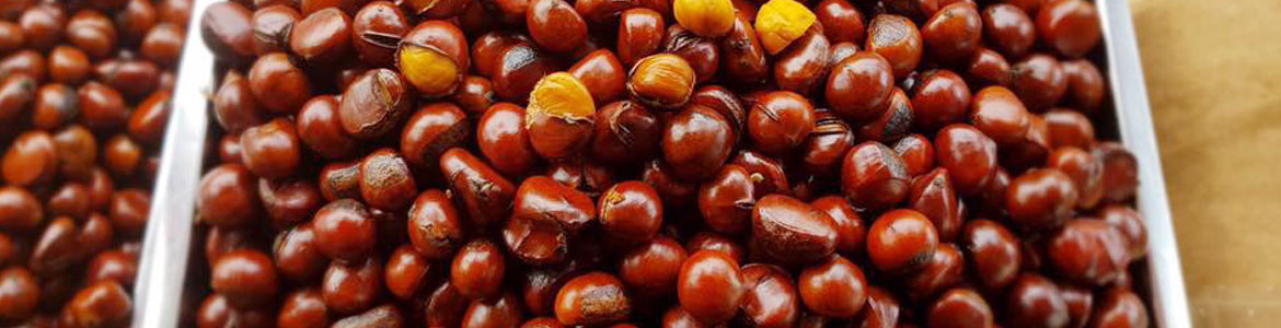 Hạt Dẻ Nóng Tèo Em