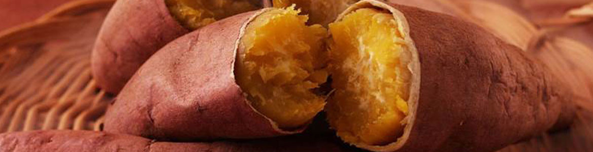 Khoai Hấp Gia Truyền Cúc Hà