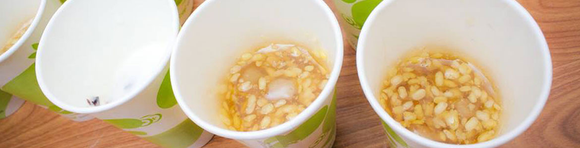 Thiện Hồng - Nước Bưởi Ép