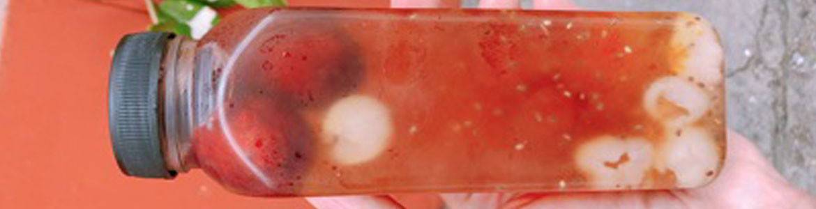 Chè Tuyết Yến San San