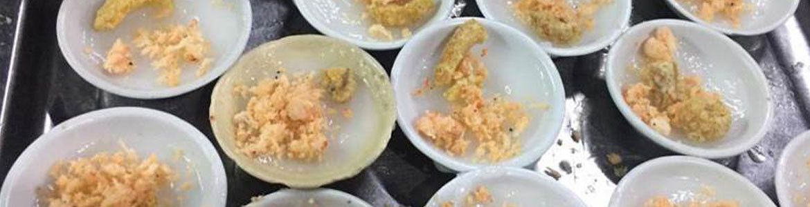 Phan Thị - Bánh Bèo Huế