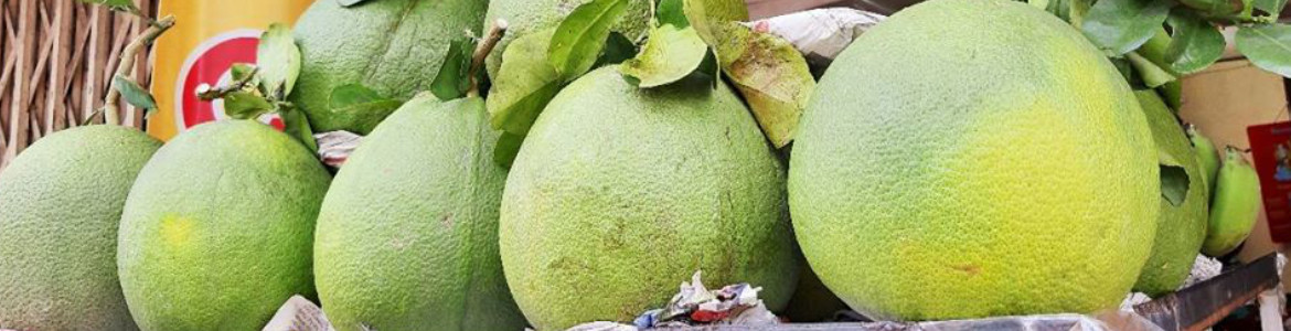 Đặc Sản Bến Tre