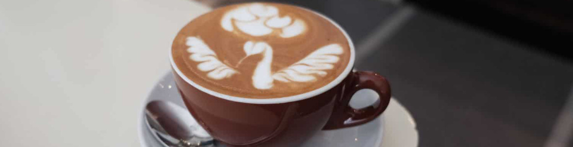 The Angel Coffee