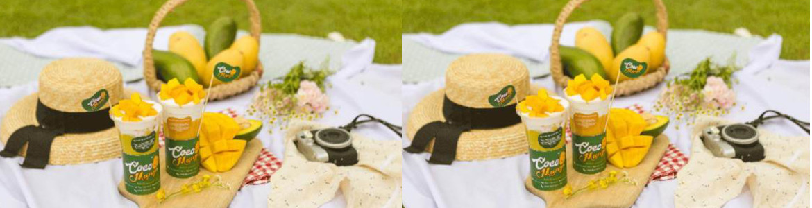 Coco Mango Smoothie & Dessert