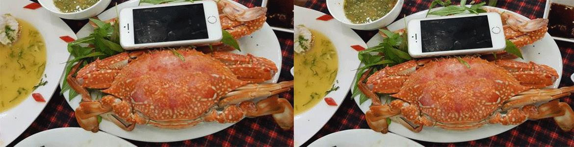 Đặc Sản Plus - Hải Sản Tươi Sống