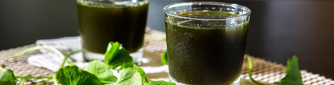 Rau Má Xay Cô Khanh