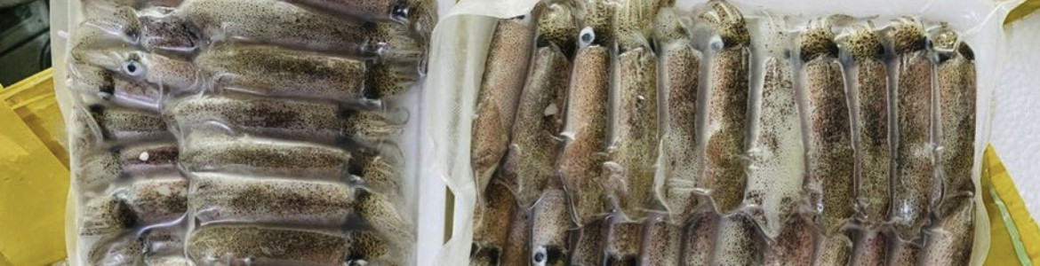 Yummy - Thực Phẩm Cấp Đông