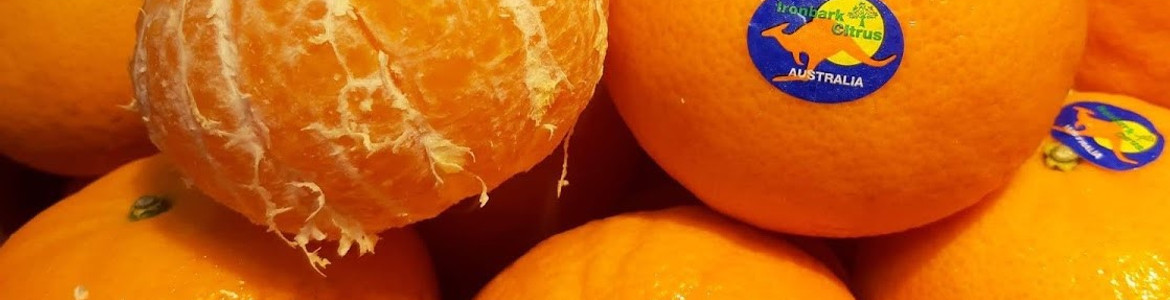 Jodi.vn - Quà Tặng Trái Cây