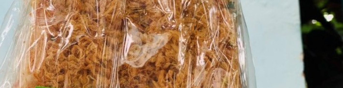 Cô Út Sài Gòn - Cơm Cháy Chà Bông - HCM