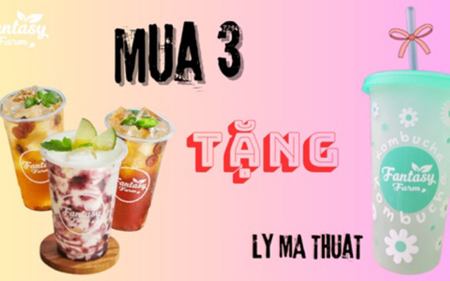 Trà Kombucha Fantasy Farm - Vạn Phúc City