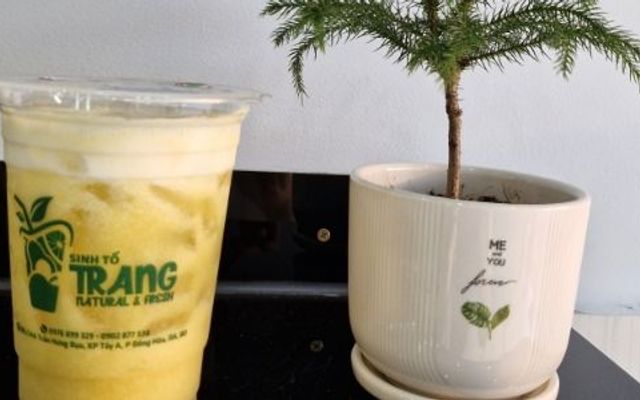 Sinh Tố Trang - Trần Hưng Đạo