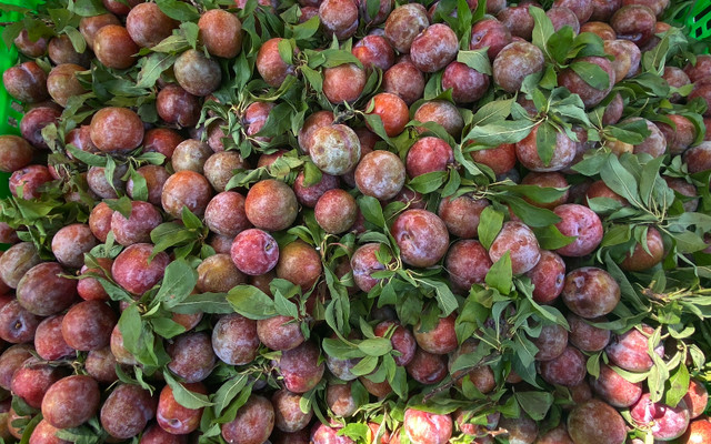 Trái Cây Sạch Đồng Quê Vườn Xanh Farm Fresh Hòa Xuân - 111 Trần Lê 