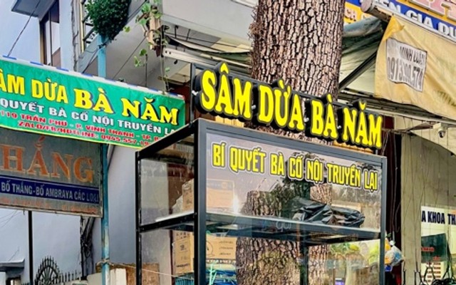 Sâm Dừa Bà Năm - Bí Quyết Bà Cố Nội Truyền Lại - Trần Phú