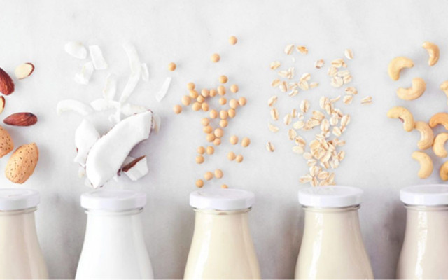 Cơm Chay & Sữa Hạt - Hai Anh Em - Nguyễn Hữu Cảnh