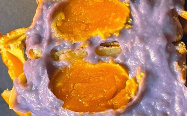 Tiệm Bánh Nướng Sol - Tôn Đức Thắng