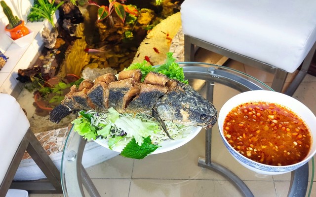 Tổng Hợp Món Ngon - Mặt Chợ Văn Miếu