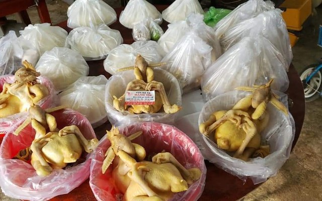 Gà Ta Mạnh Tín - Gà Luộc Sẵn & Xôi Gà Cúng