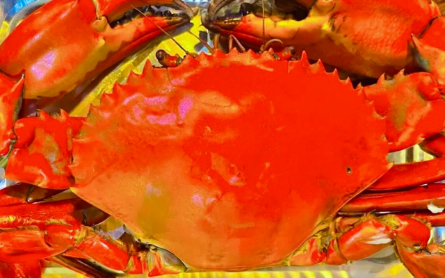 Shop Cua - Cua Cà Mau Chế Biến