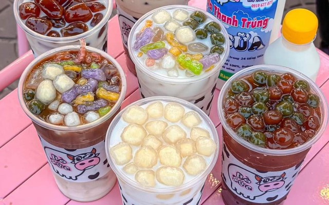 BÒ SỮA - 100% Sữa Vắt Từ Con Bò Sữa - Phan Thị Ràng