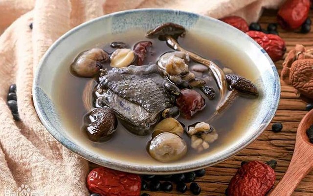 Gà Ác Lâm Gia - Dương Đức Hiền